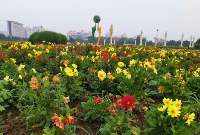 殚精竭虑怎么读,殚精竭虑怎么读?图4