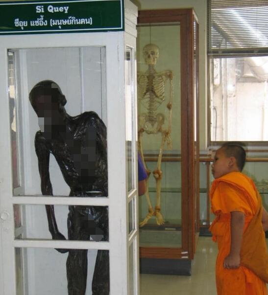 泰国食人案真实事件（连环杀童食人魔）(2)