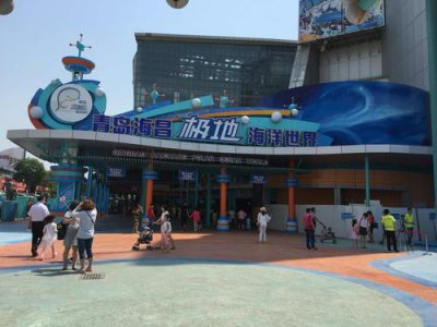 ​青岛极地海洋世界攻略图（青岛极地海洋世界游玩心得）