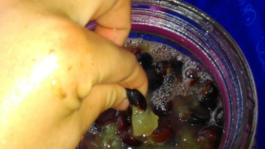 自制葡萄酒的酿制方法,自己怎么制作葡萄酒的方法图4