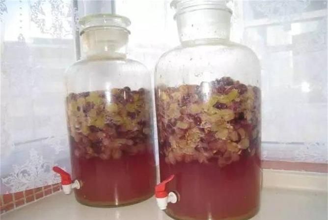 家庭自制葡萄酒的做法视频