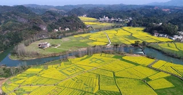 绿色都有哪些,春天绿色树叶的树有哪些?图10