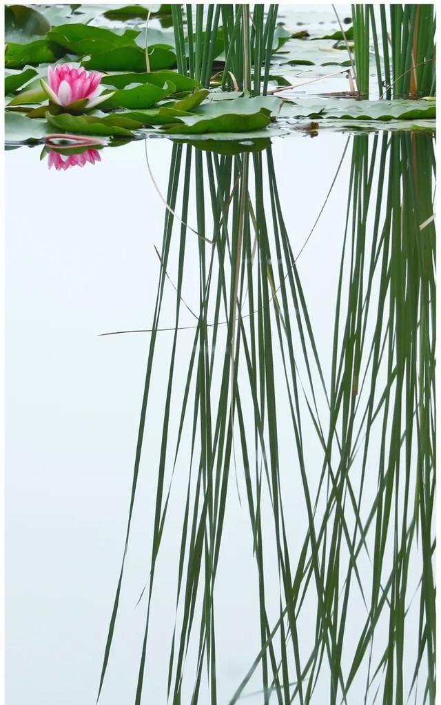 故宫老人票是指多大年龄，摄影圈中的老法师是什么？图1