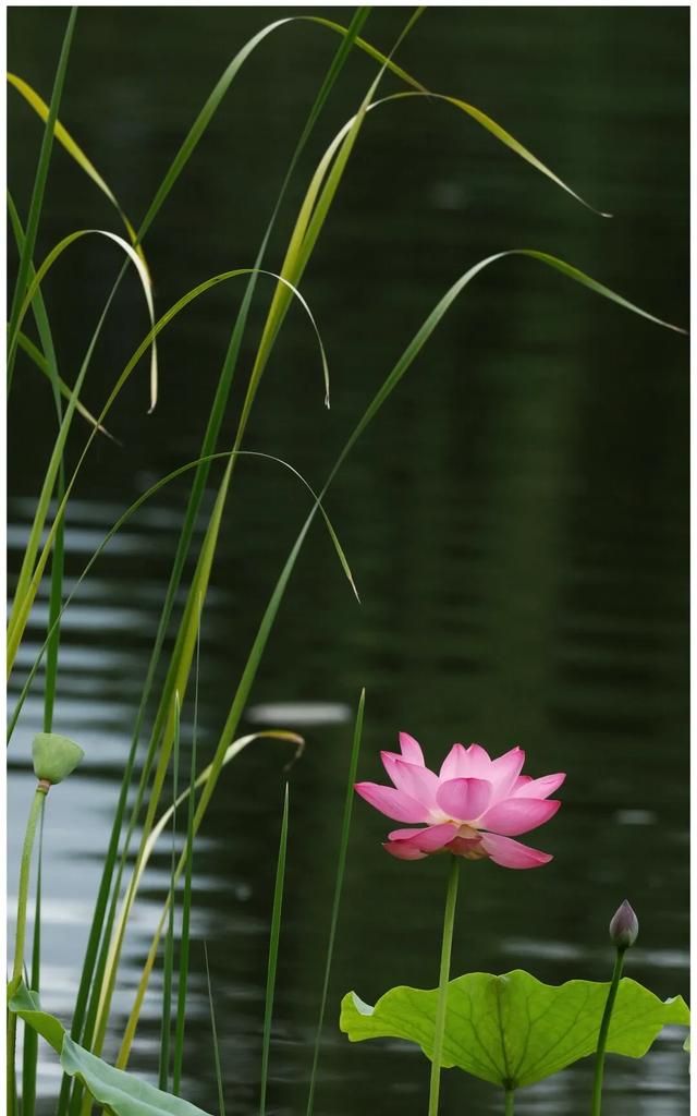 故宫老人票是指多大年龄，摄影圈中的老法师是什么？图2