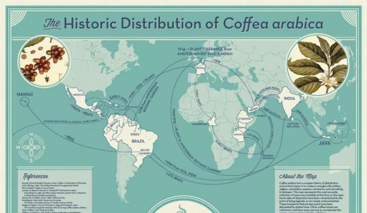 小t咖啡品牌历史