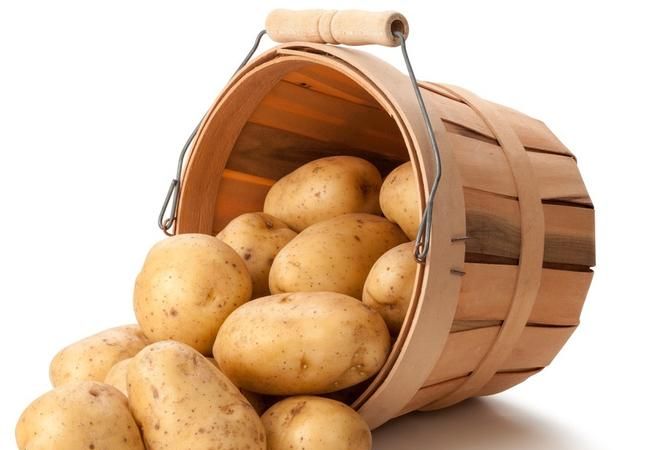 洋芋,马铃薯,土豆是一个东西吗