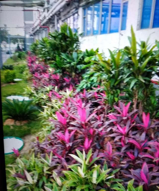 地底下的水管冻了怎么办,地下的水管冻住了怎么办?图3