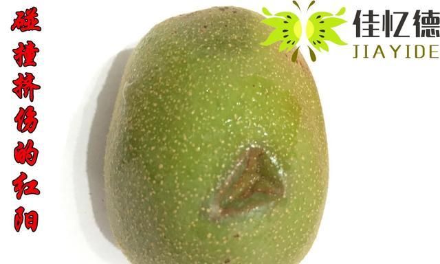 猕猴桃软了是不是烂了