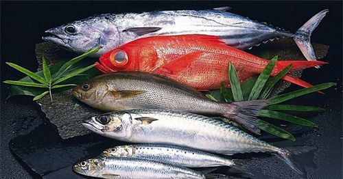 海里有多少种鱼类