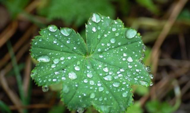 雨是怎样变成雹子的呢