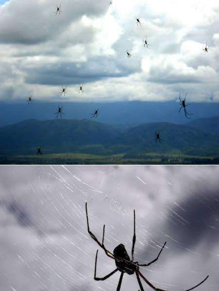 把雨点落到地上溅起的样子比作水花,这样写是因为什么