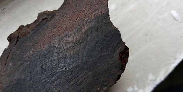 阴沉木用火烧成灰是什么颜色