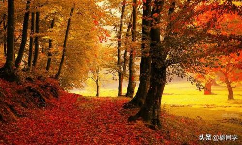 季度怎么分月(四个季度怎么分)-第1张图片-