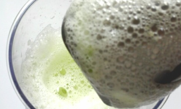 苦瓜加蜂蜜有什么功效,苦瓜可以和蜂蜜一起炒吗图11