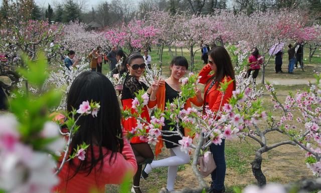 龙抬头吃什么传统食物,二月二龙抬头的由来和习俗,老传统不能忘,二月二要剃头吗?图5