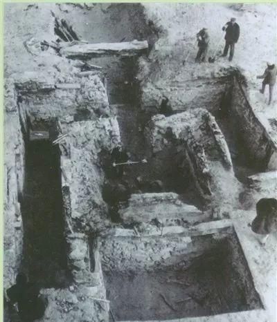 火瓢虫,九层妖塔火瓢虫哪里看?图3