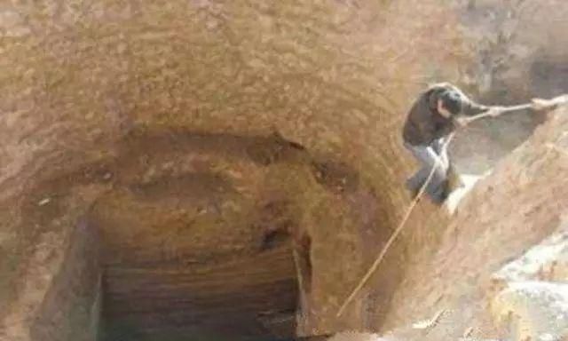 火瓢虫,九层妖塔火瓢虫哪里看?图5