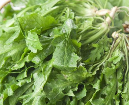 中央电视台旅游的节目提到的云南丽江长的像萝卜的菜 可以治消化病 当地人拿来喂猪现在