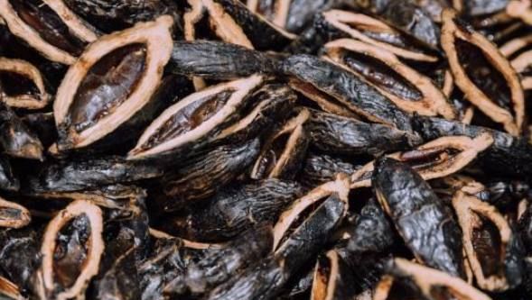 槟榔一个可以嚼多久