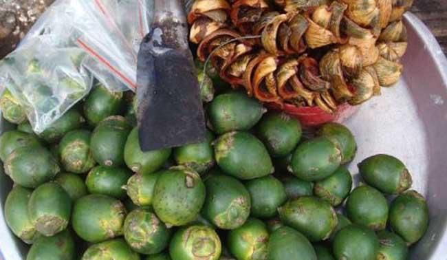 槟榔嚼多长时间就可以吐了?