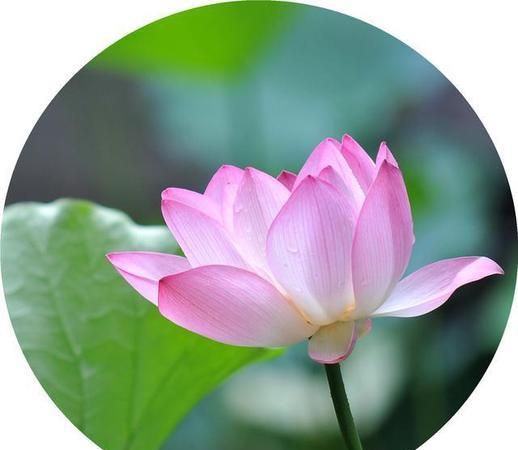 和玉有关系的微信昵称