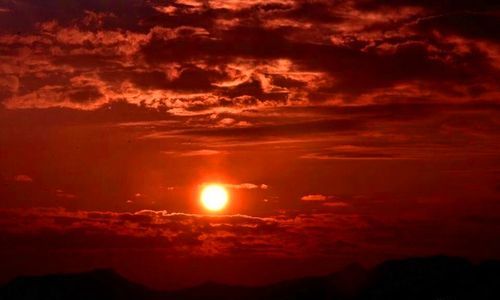 冉冉升起的意思是什么意思