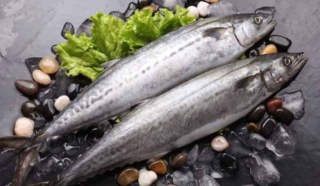 常吃的鱼有哪些，常吃的海鱼有哪些？图4