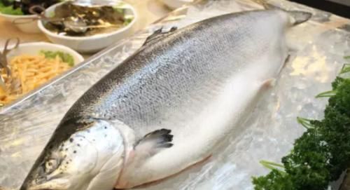 常吃的鱼有哪些，常吃的海鱼有哪些？图7