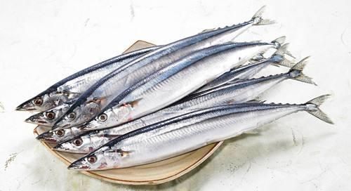 常吃的鱼有哪些，常吃的海鱼有哪些？图3