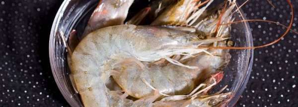 虾有多少品种,虾都有哪些品种图片图5