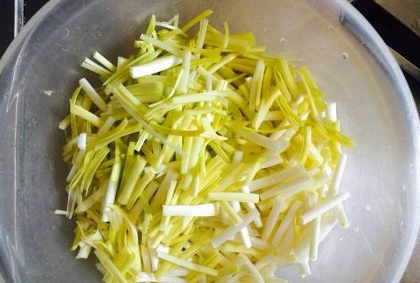 哪里有专门种植韭黄和蒜黄的