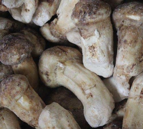 松茸冷冻后发黄还能吃吗,新鲜松茸冷冻一年还能吃