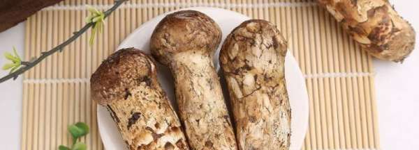 松茸冷冻后发黄还能吃吗,新鲜松茸冷冻一年还能吃图4