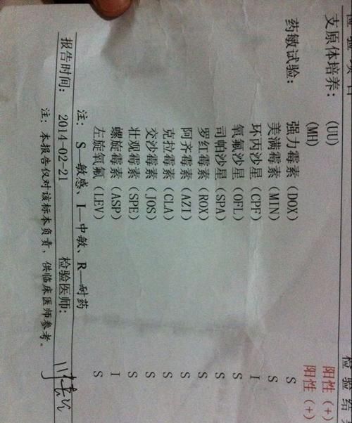 血液为阳性是什么意思