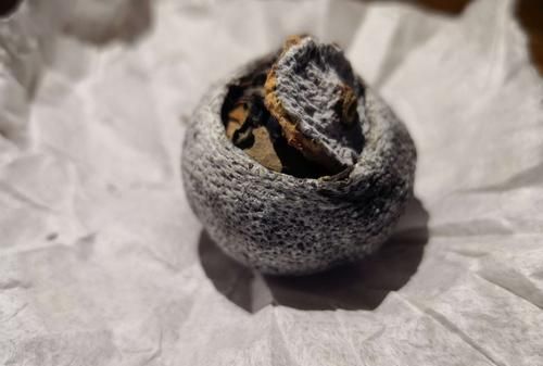 小青柑外皮像发霉是什么