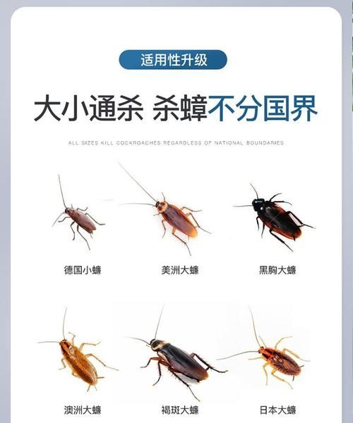 蟑螂药对人有毒性吗