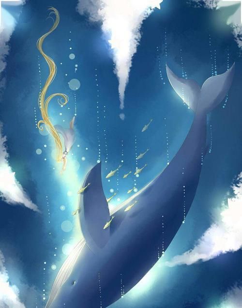 鲸落于星辰的意思