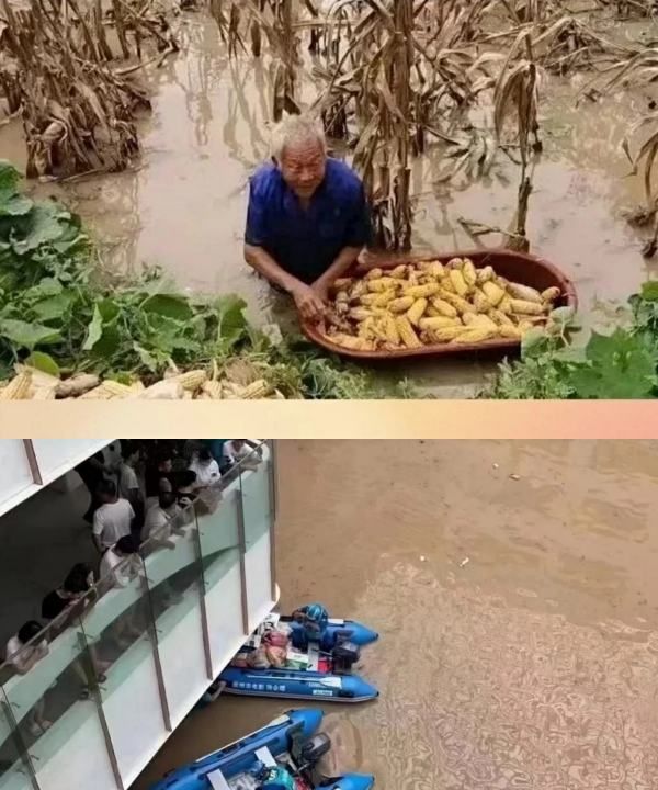 全球气候变暖的影响,全球气候变暖会带来哪些影响和灾害?图4