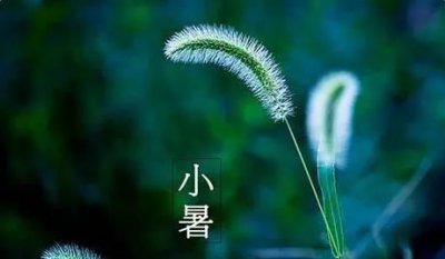 ​小暑是入伏第一天么,小暑是入伏的开始吗