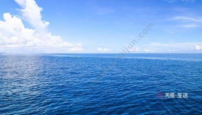 ​我国最大的海介绍（详细说一下）