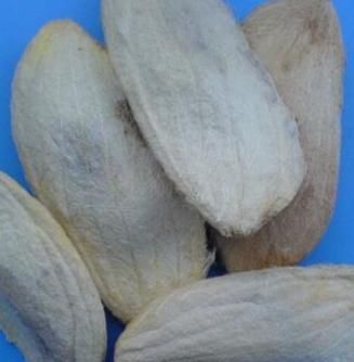 芒果吃到一半发现核烂了也变黑了还能吃吗