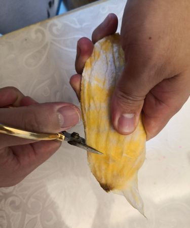 芒果核仁黑了还能吃吗,芒果核发黑是坏了