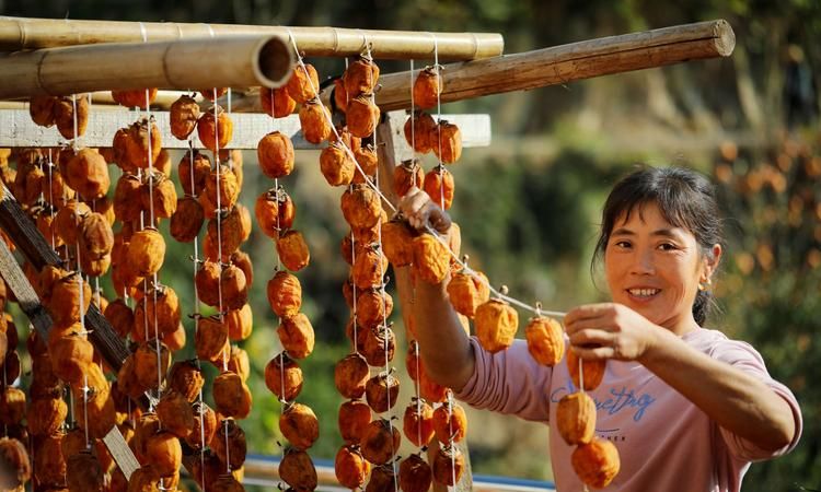 柿饼子的详细制作方法