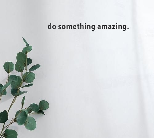 ins是什么软件全名叫什么安卓手机能用么