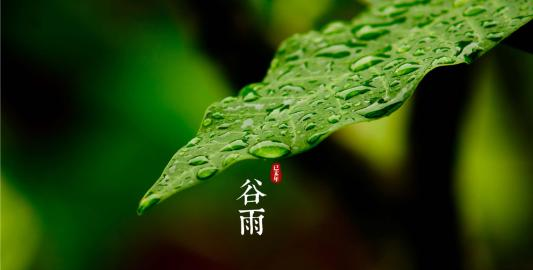 谷雨节气的含义是什么,谷雨是什么意思图3