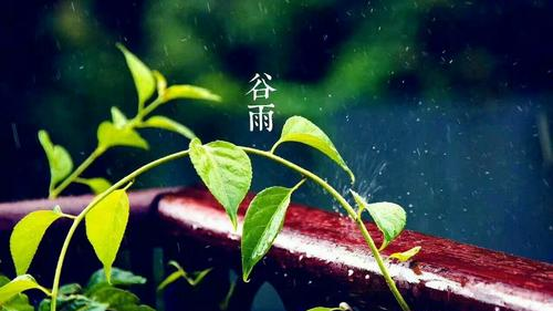 谷雨节气的含义是什么,谷雨是什么意思图2