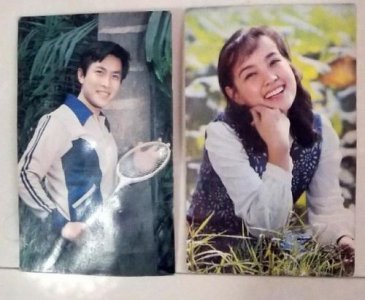 ​迎春花的介绍卡片_迎春花的介绍200字