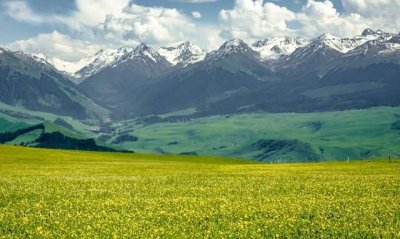 ​中国最大城市是不是武汉,中国最大的城市怎么是武汉呢