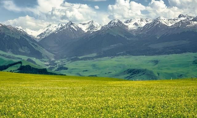 中国最大城市是不是武汉,中国最大的城市怎么是武汉呢图1