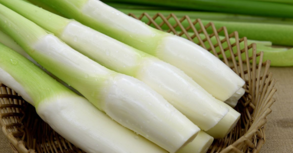 茭白黑点太多能吃,茭白里面有黑点可以吃么图6